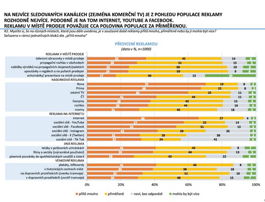 esk marketingov spolenost - Vzkum ei a reklama 2025