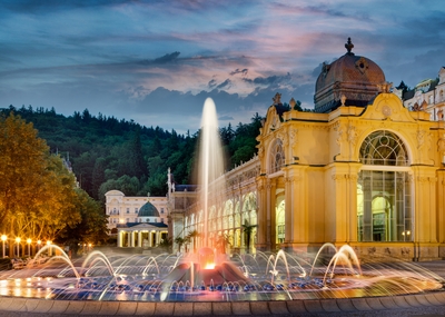 esk marketingov spolenost - Partnei esk marketingov spolenosti